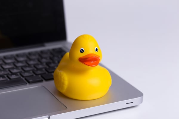 Yellow rubber duck sitting on the corner of a laptop