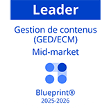 Blueprint-Gestion-de-contenus-2025---Badge-Leader-blanc_160x160px